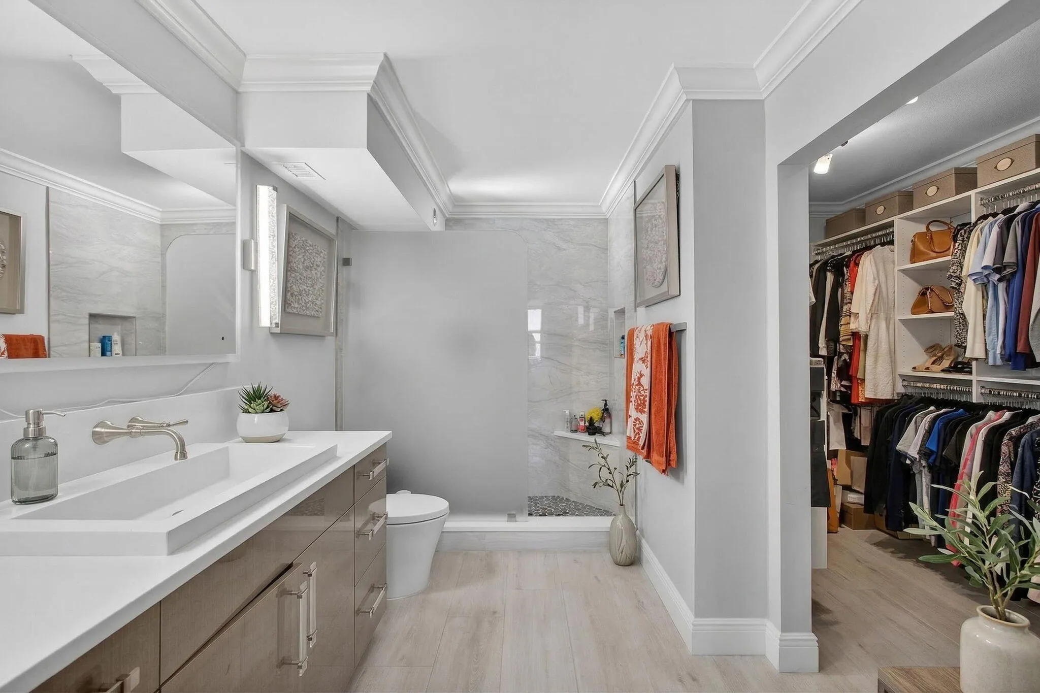 18-web-or-mls-5D1A1212