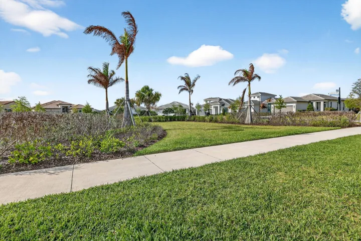 49-web-or-mls-5P1A0977