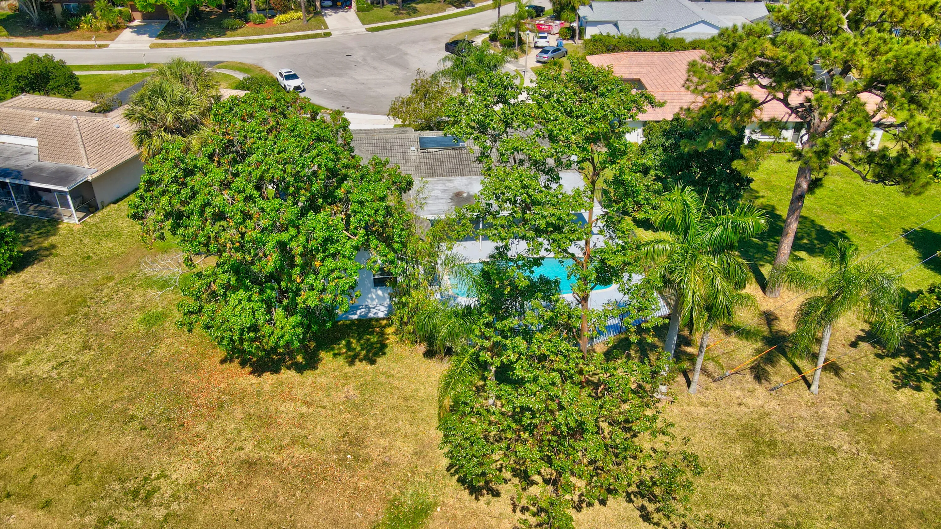 Very private yard