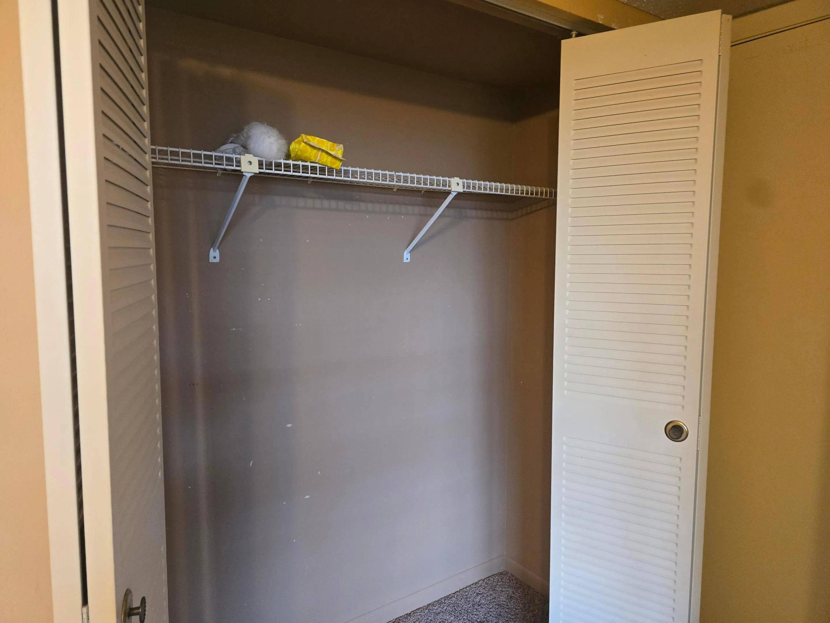 GUEST BDRM CLOSET