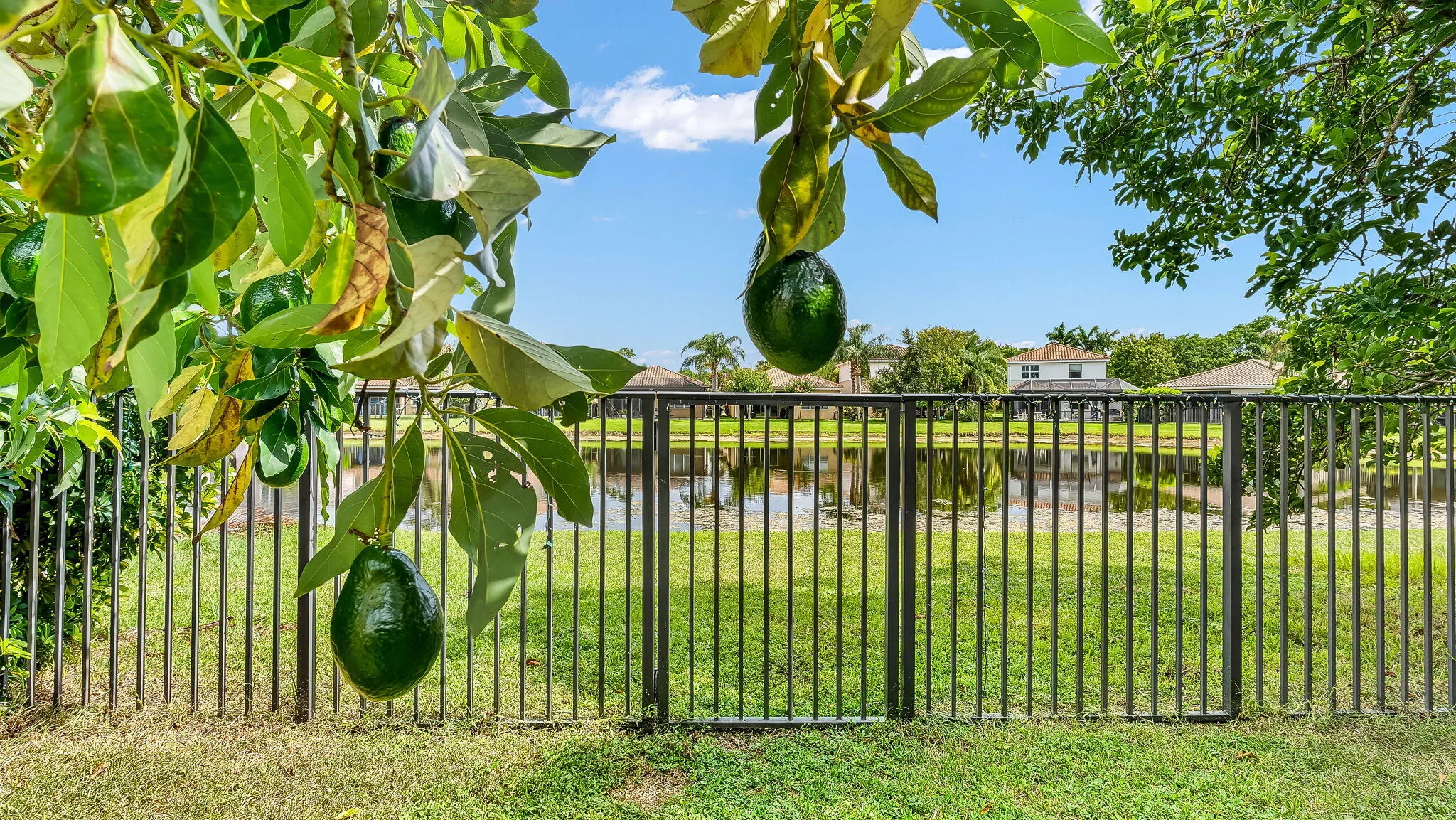 Property photo 46