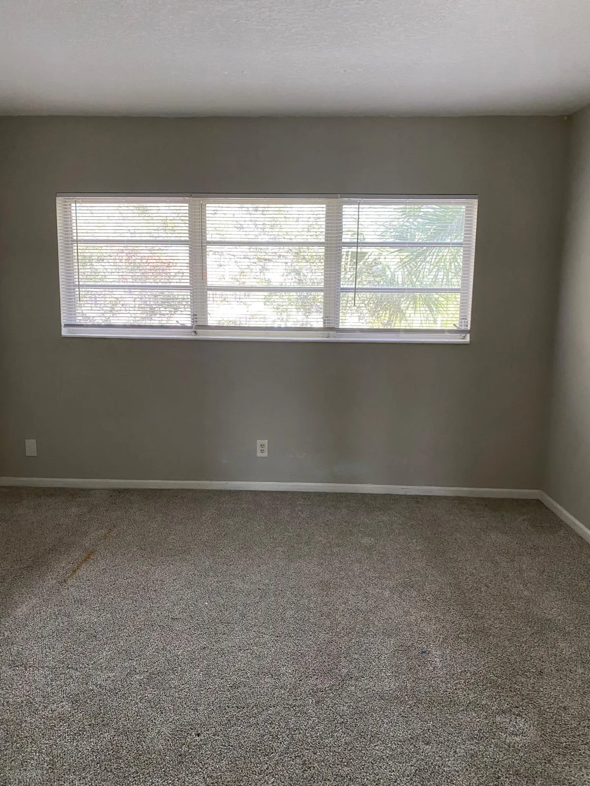 Bedroom window