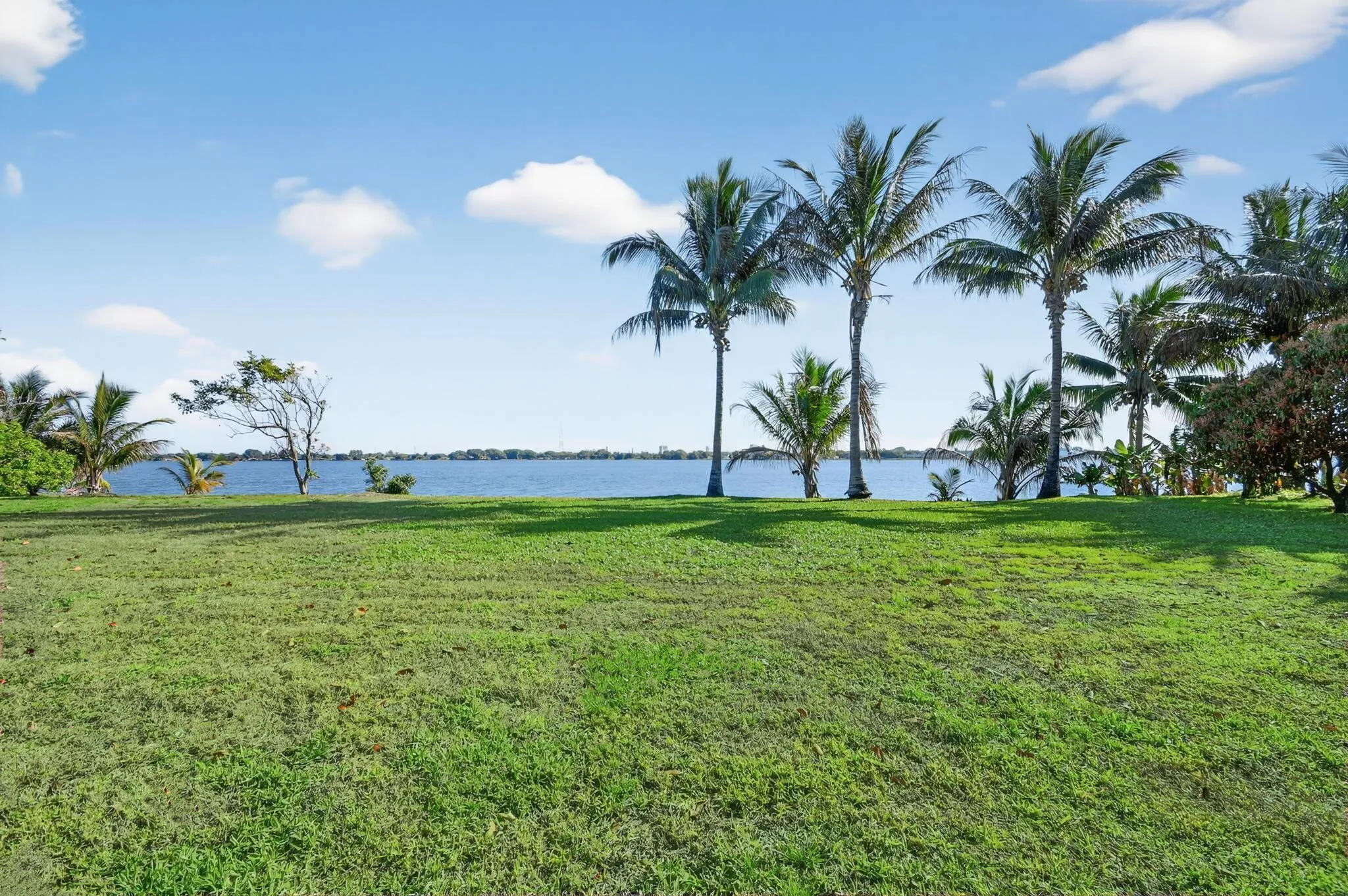 backyard direct to lake