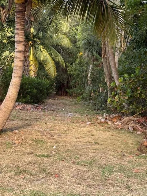 Take a tranquil walk in the community preserve!