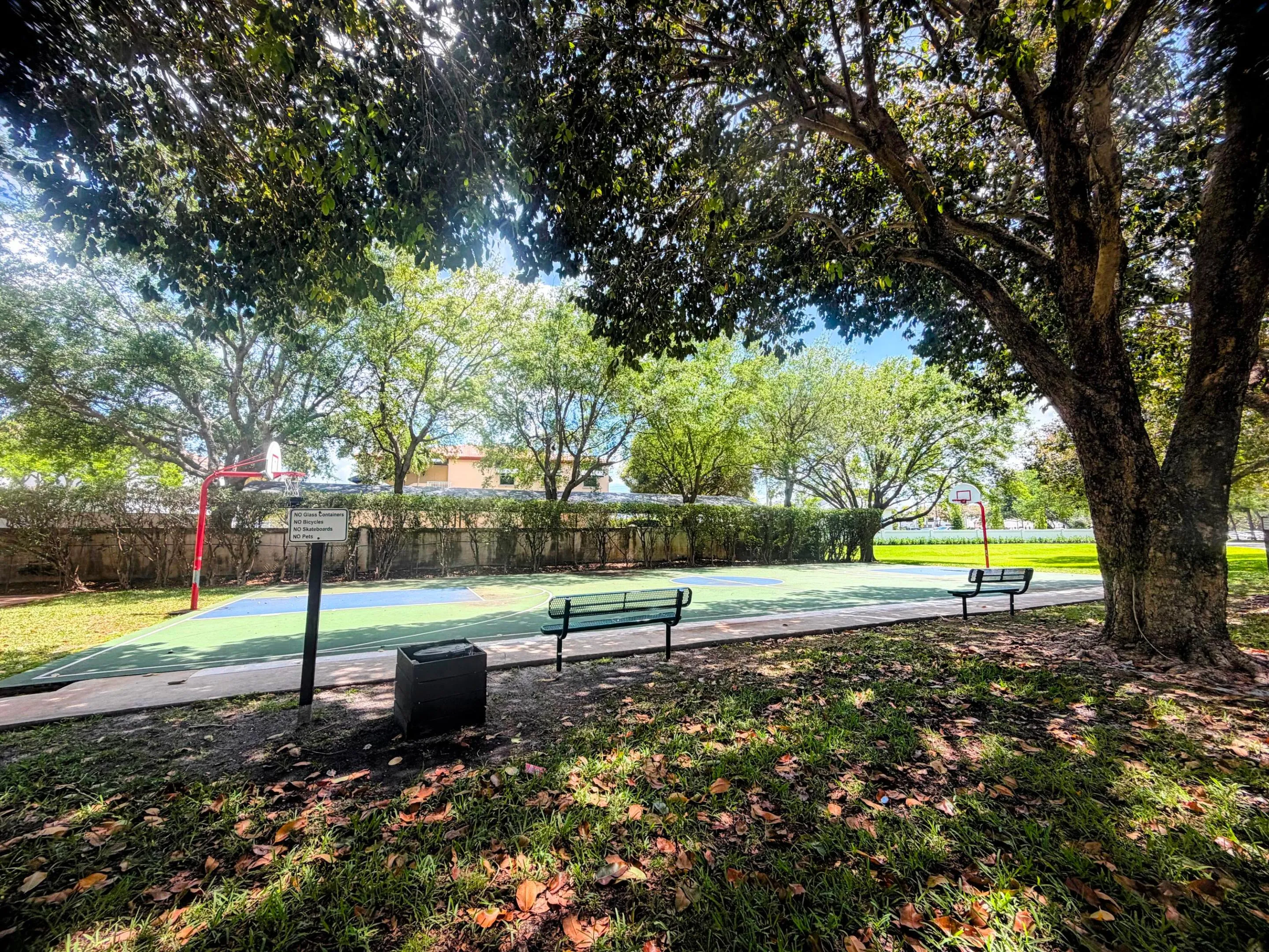 BASKETBALL COURT