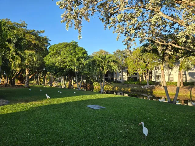 canal