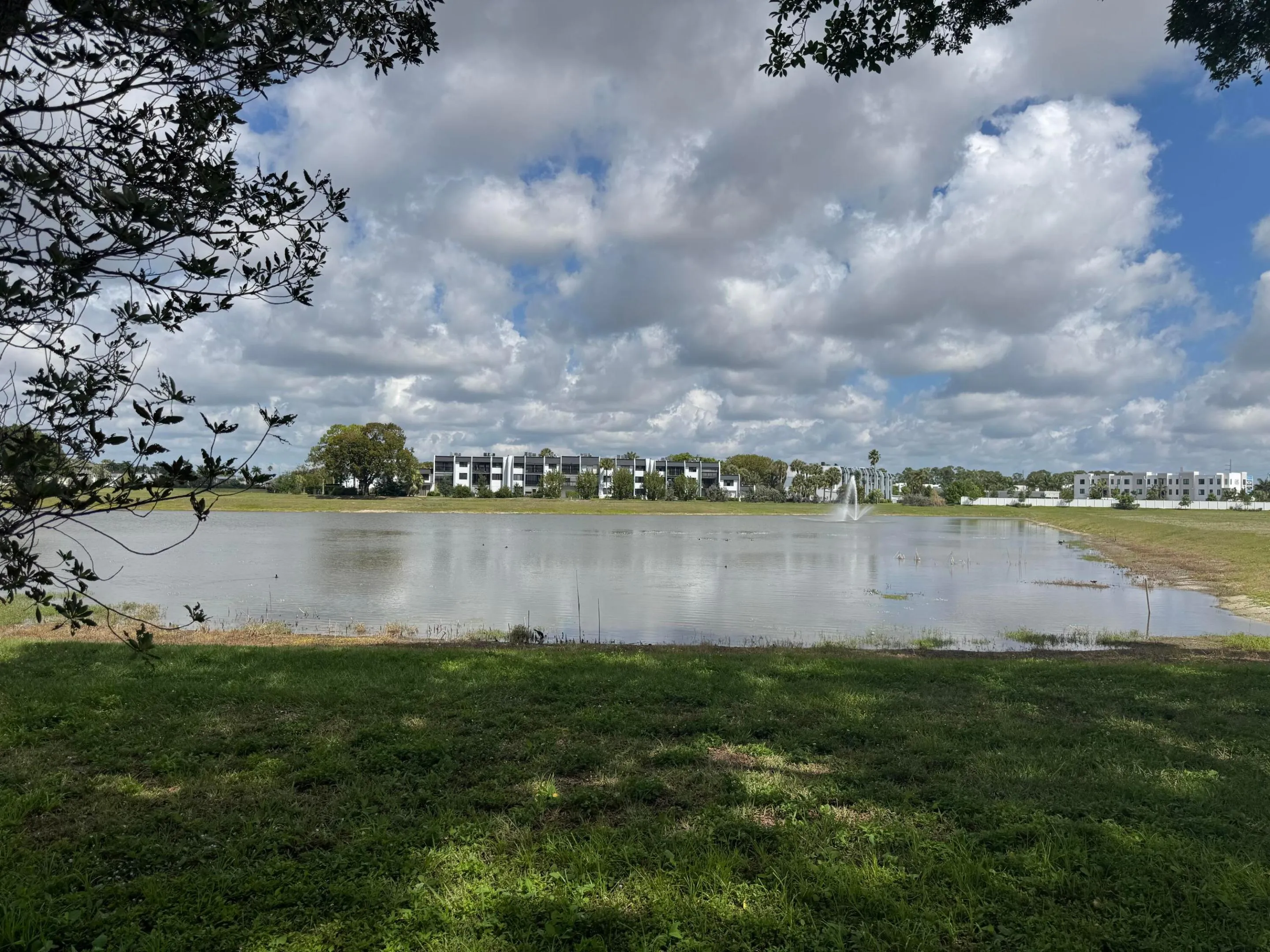 Water View