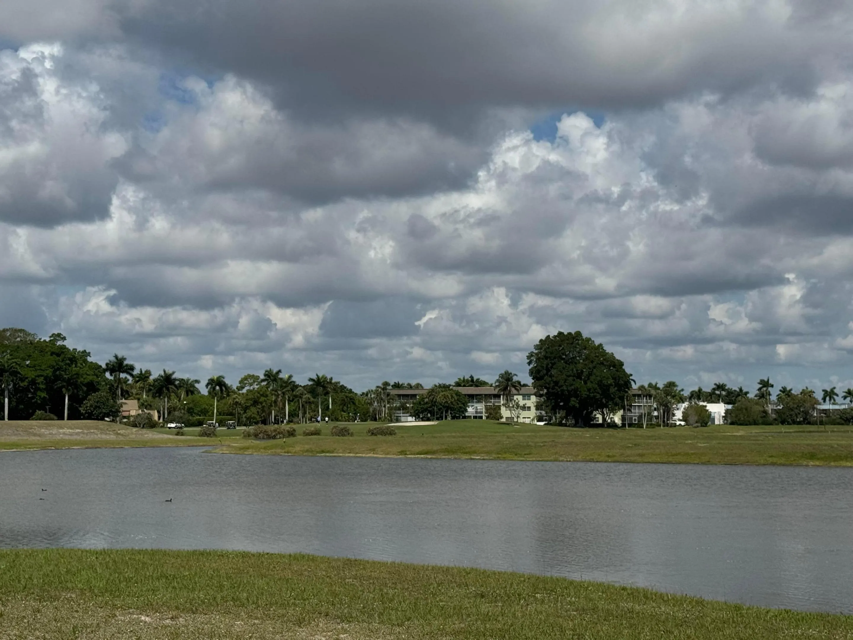Rear View Pond