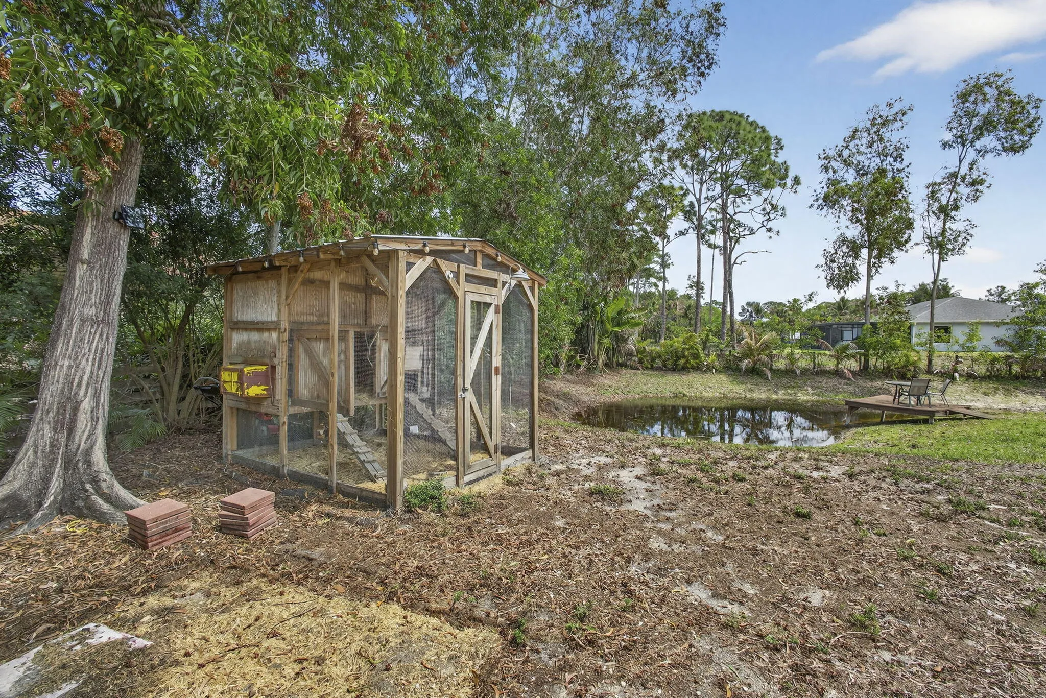 56-web-or-mls-BS1A3761