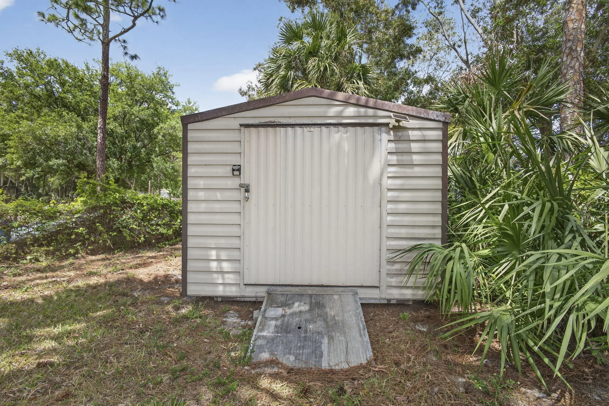 Shed