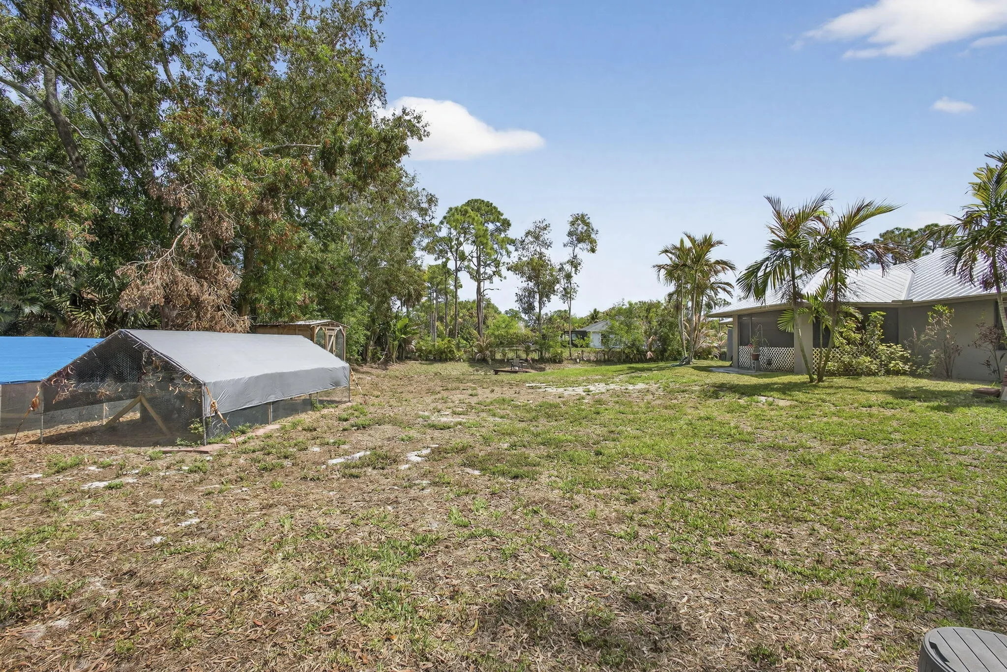 53-web-or-mls-BS1A3744