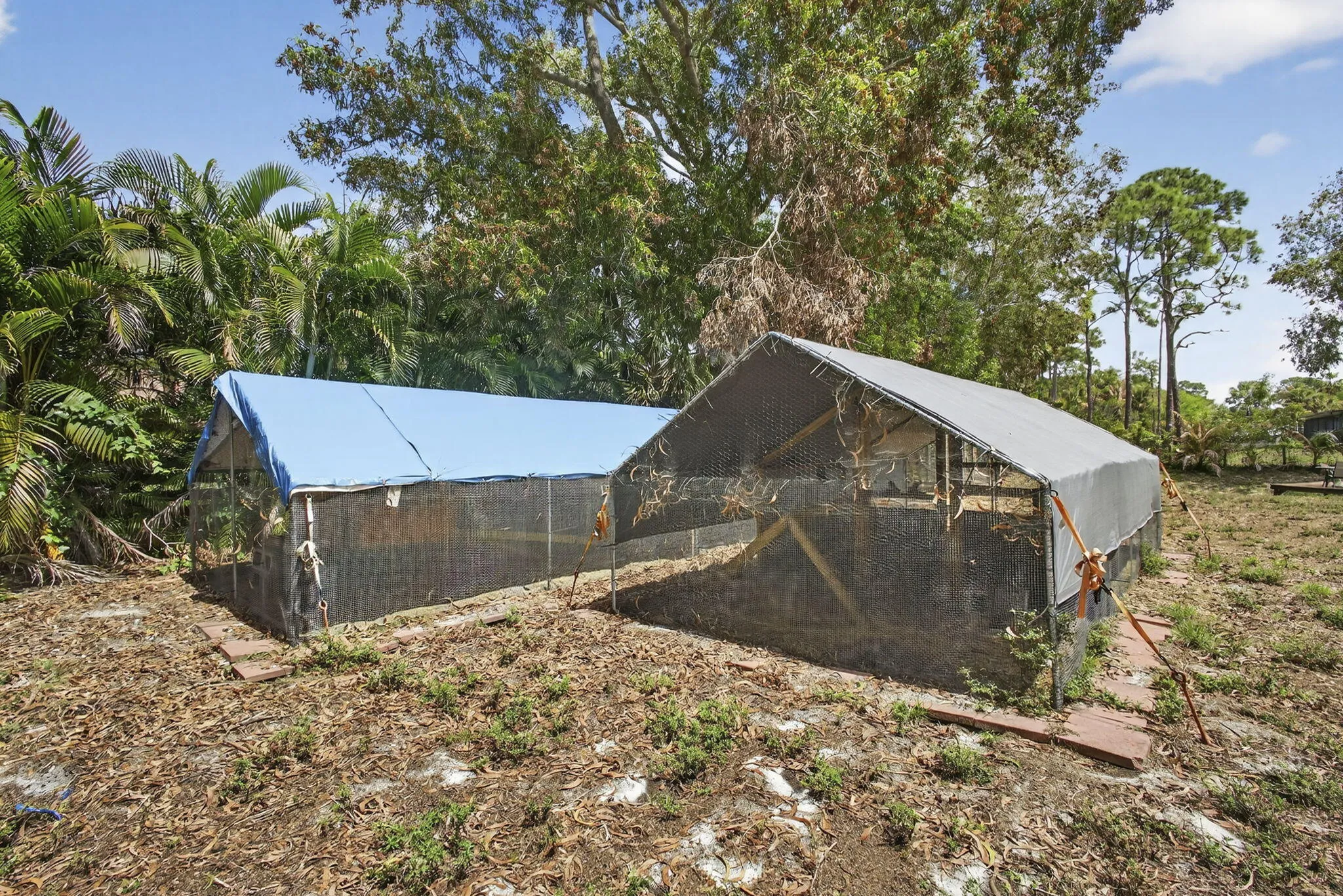 54-web-or-mls-BS1A3750