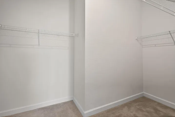 27-web-or-mls-5P1A1447