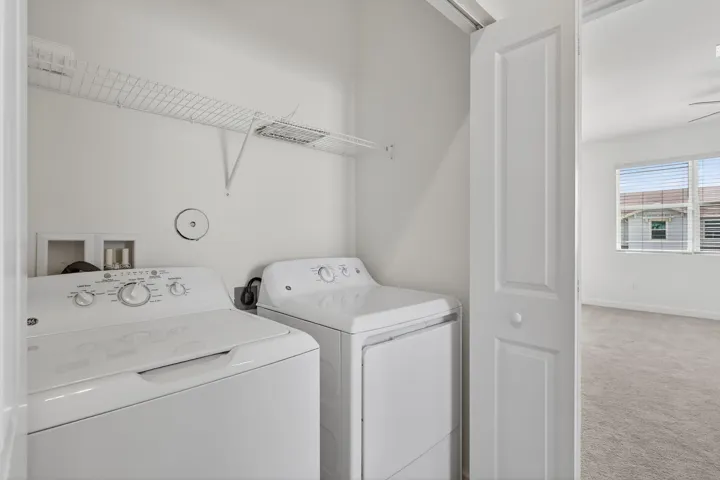 31-web-or-mls-5P1A1467