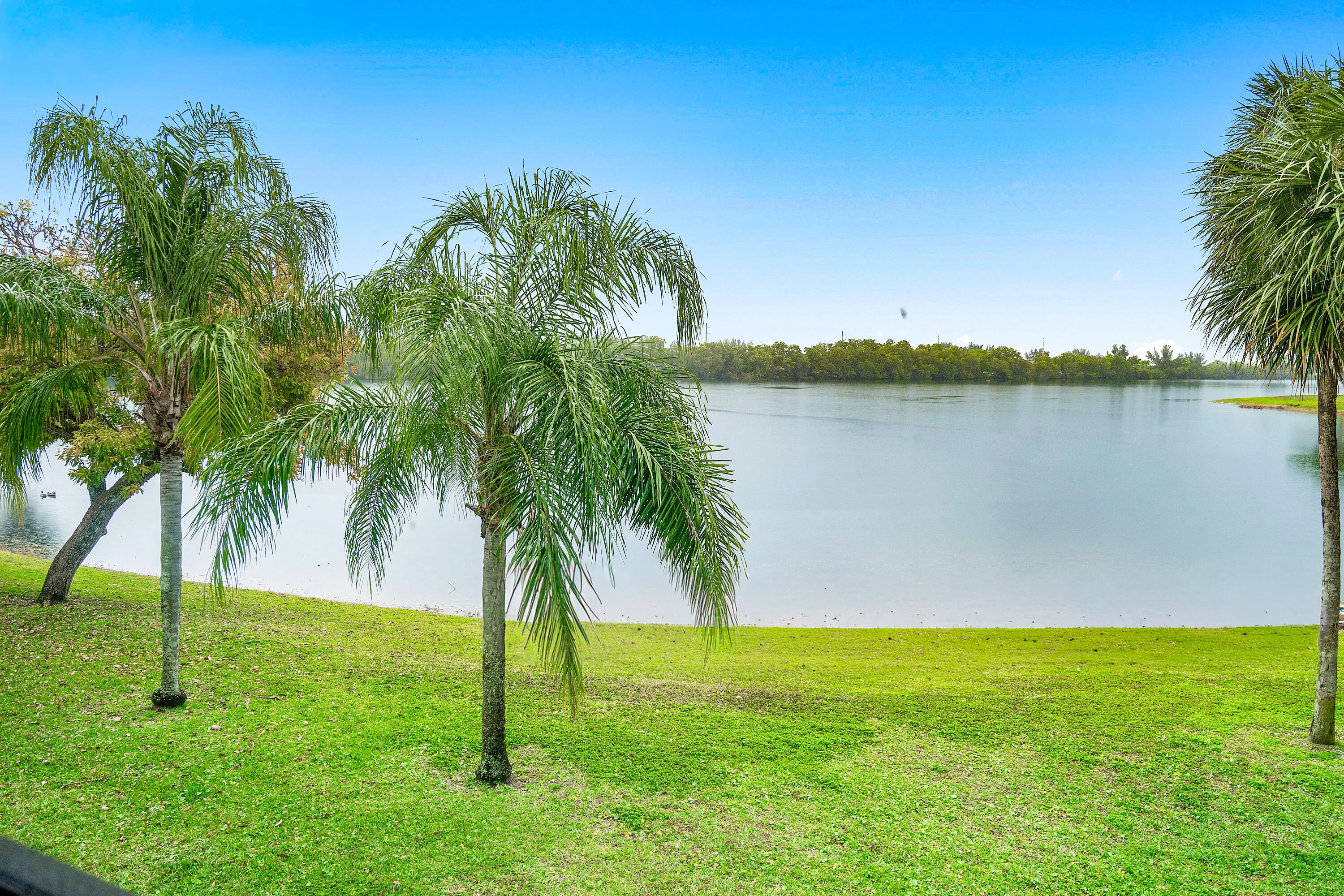 Lake