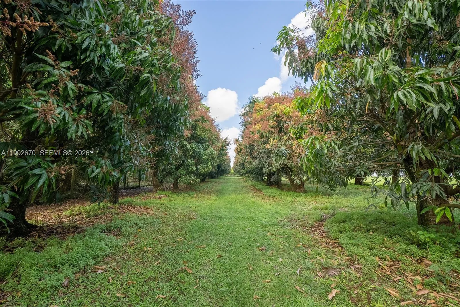 Property photo 221