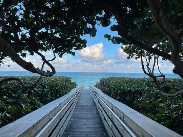Beach Walkover