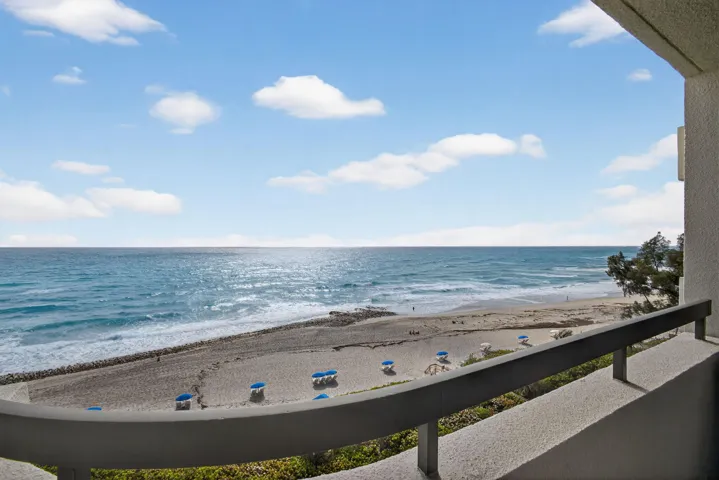 50-web-or-mls-5D1A1835