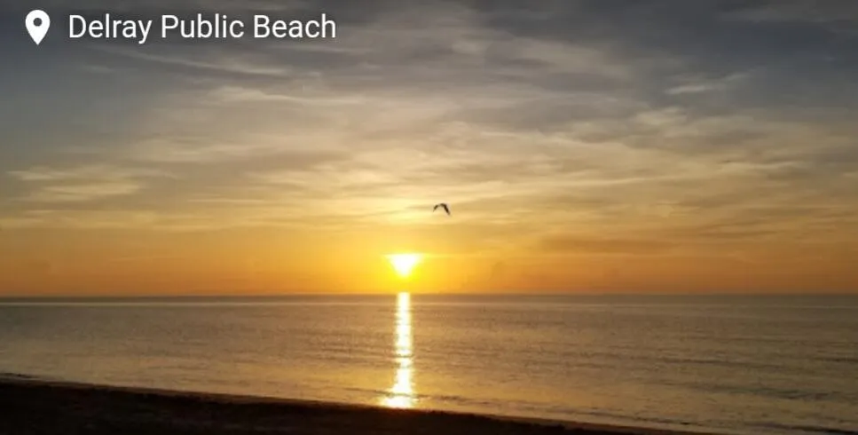 Palm Trees and Beaches are waiting for you