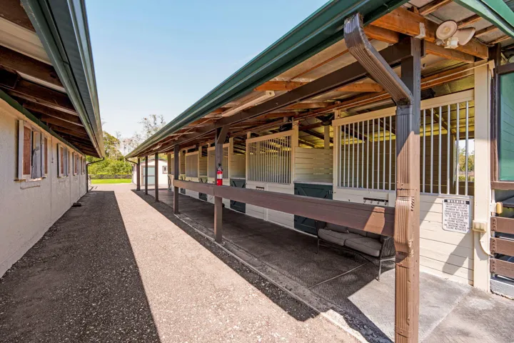 48-web-or-mls-A7408523