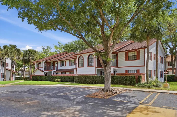 Beautiful front views