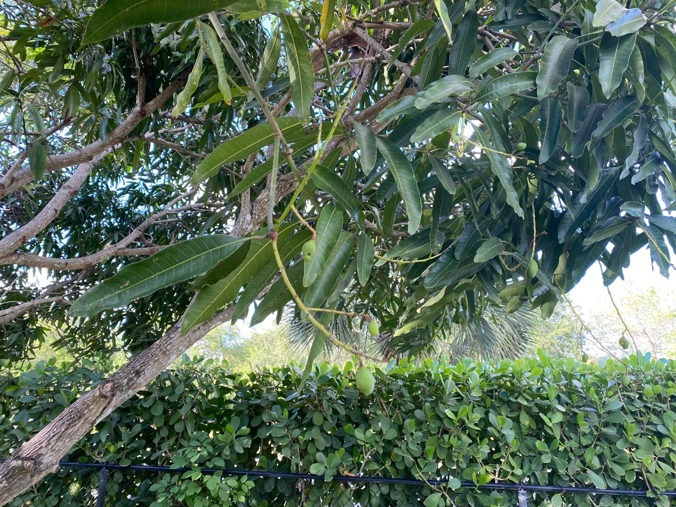 IMG_9450