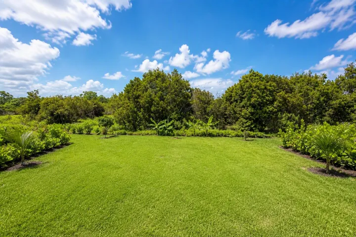 Designer.backyard