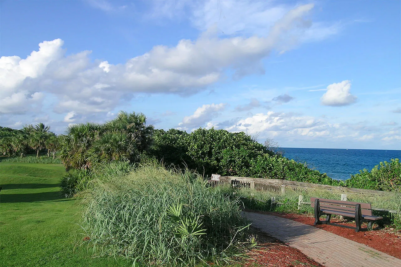 Property photo 64