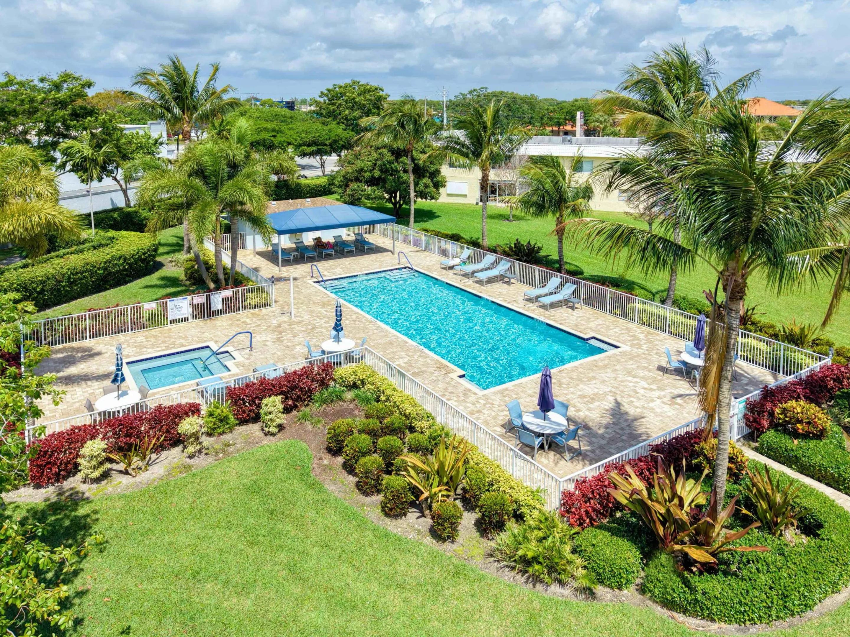Pool Bird Eye View
