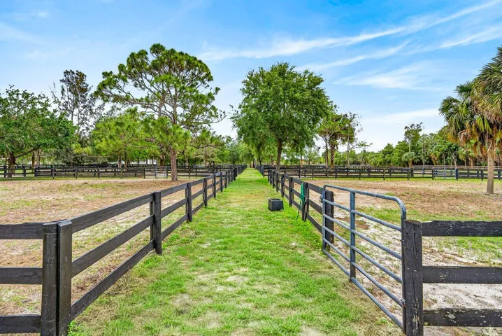 Paddocks