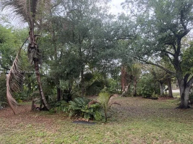 Photo 32