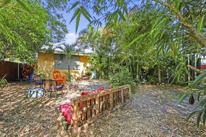 back yard 3