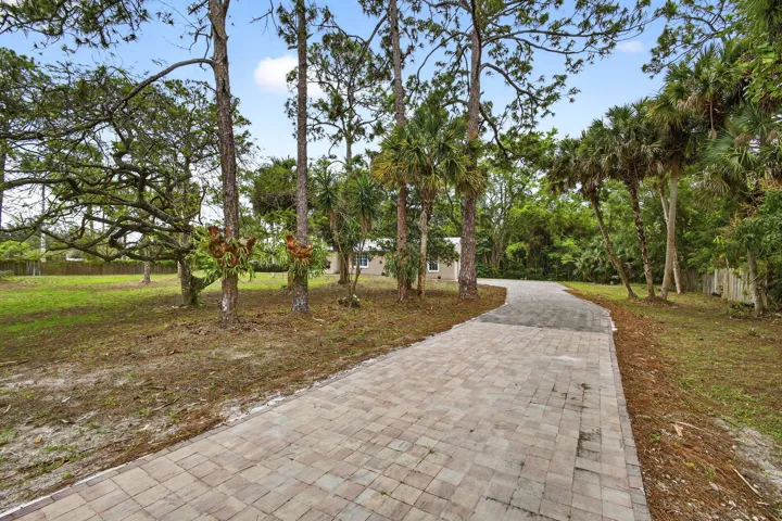 Driveway