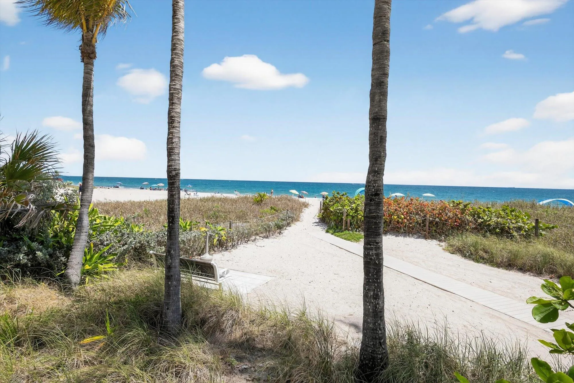 Property photo 65