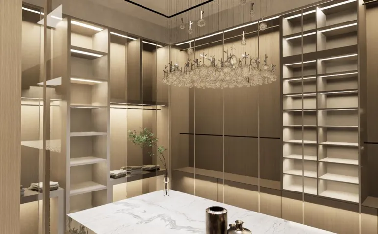 Primary Walk in Closet 2