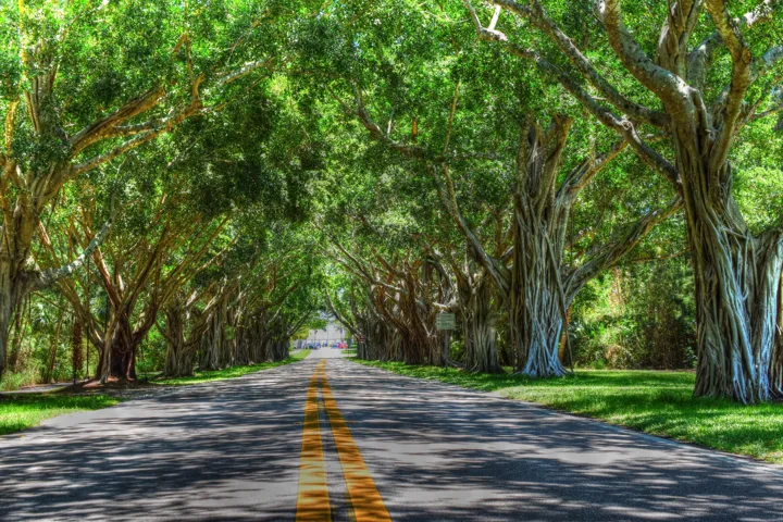 Nearby Hobe Sound
