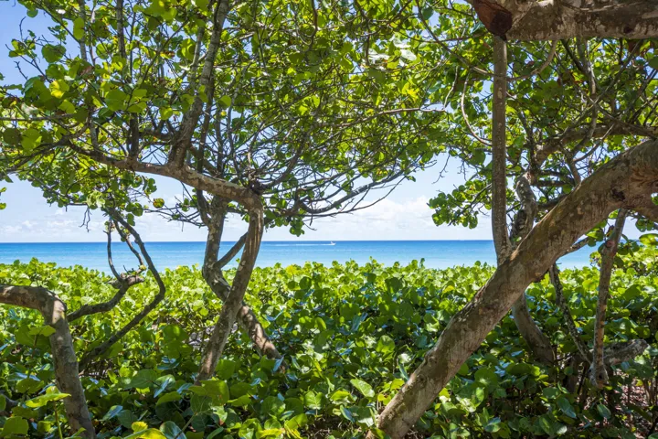 Beautiful Local Beaches