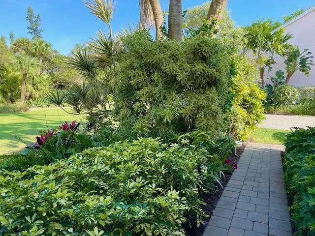 4409 Front walkway