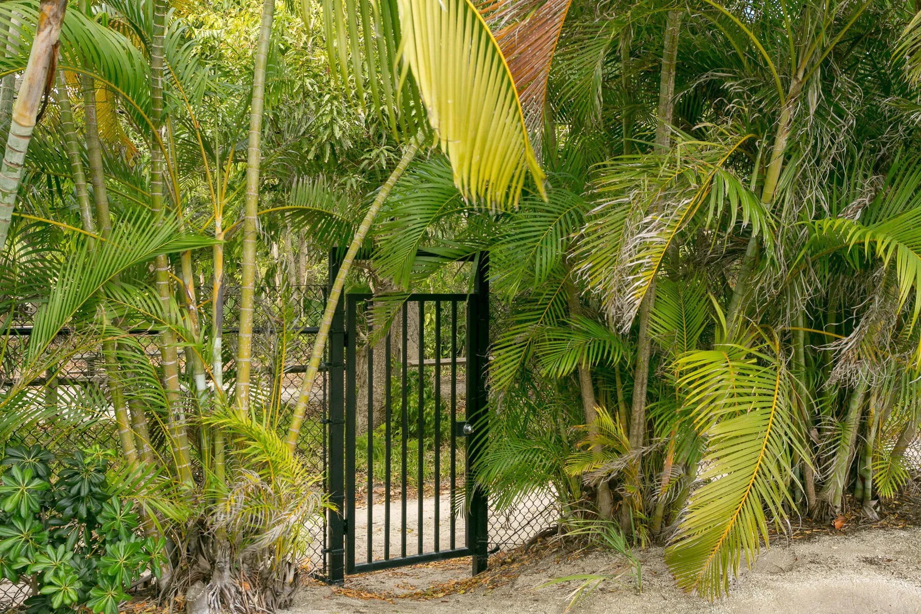 Park Gate off 12th fairway