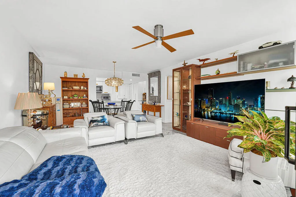 Large living room