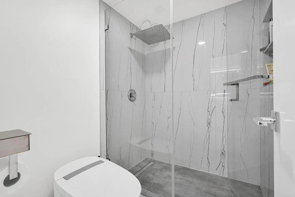 Beautiful shower and Hi Tech auto flush commode/bidet