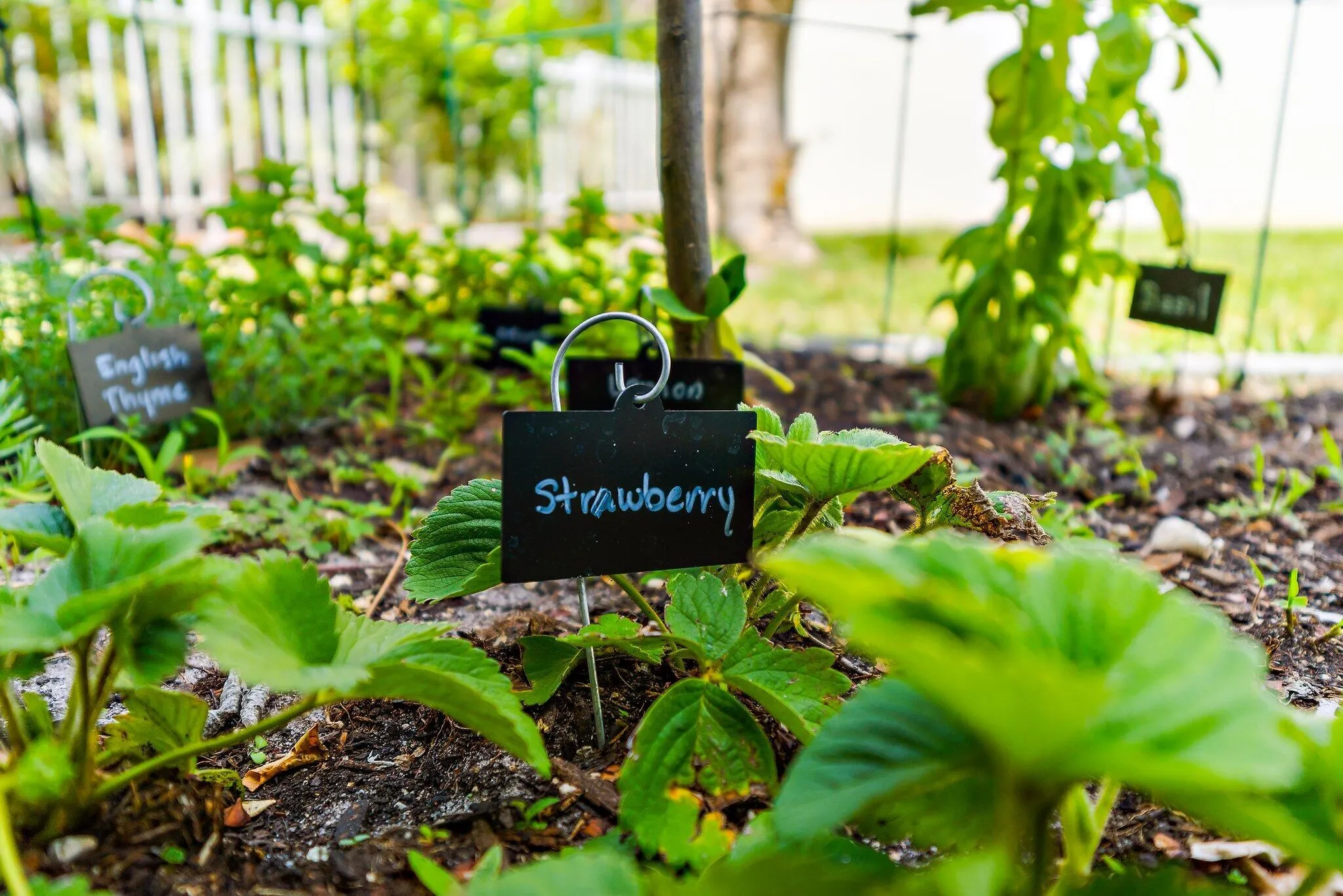 Property photo 22