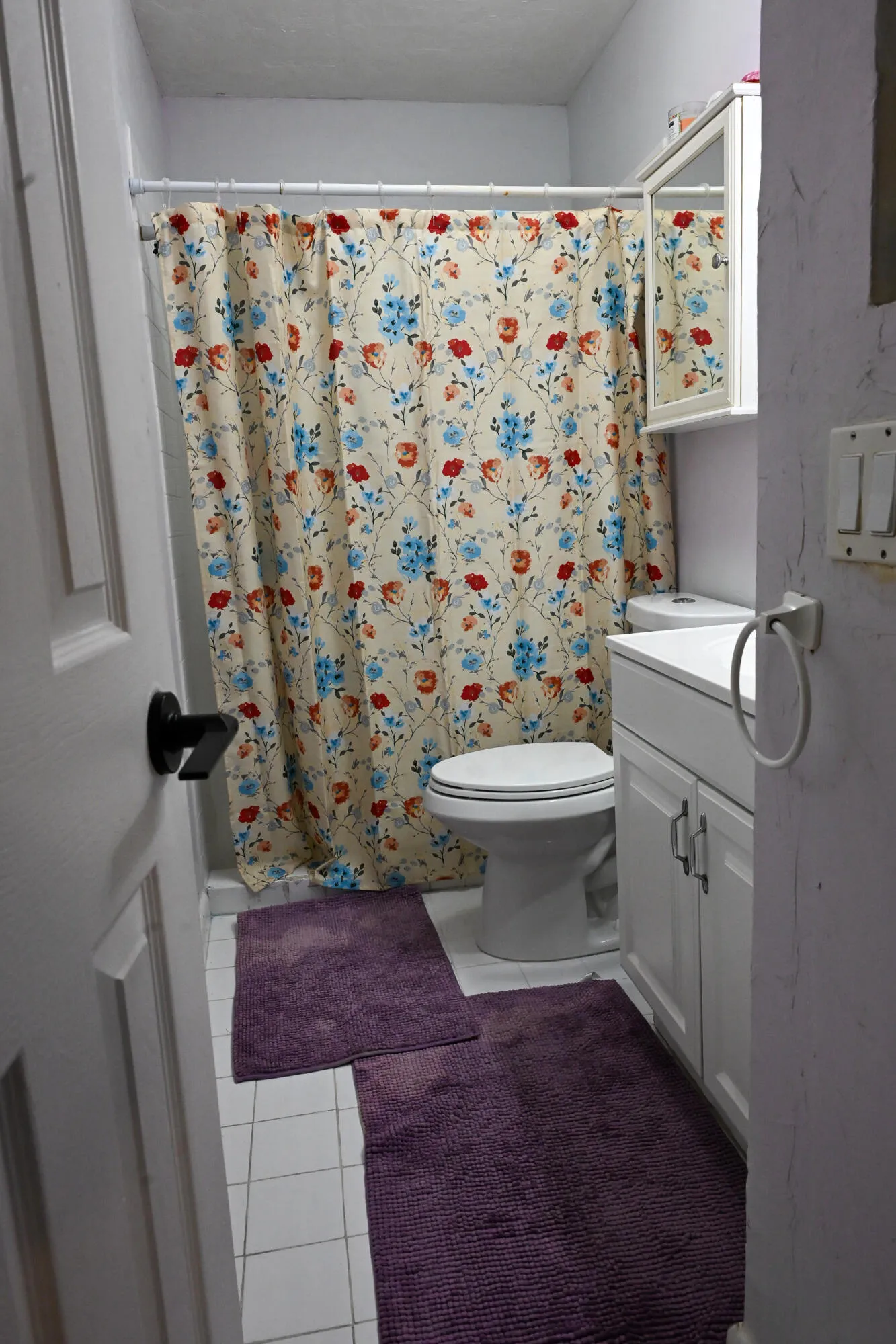 Master Bathroom_3
