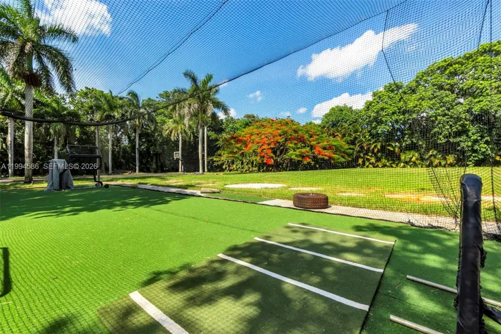 Full size MLB specs batting cage