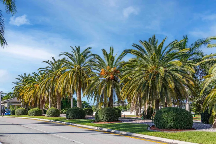 50-web-or-mls-Wynmoor 10-23-22-1-4