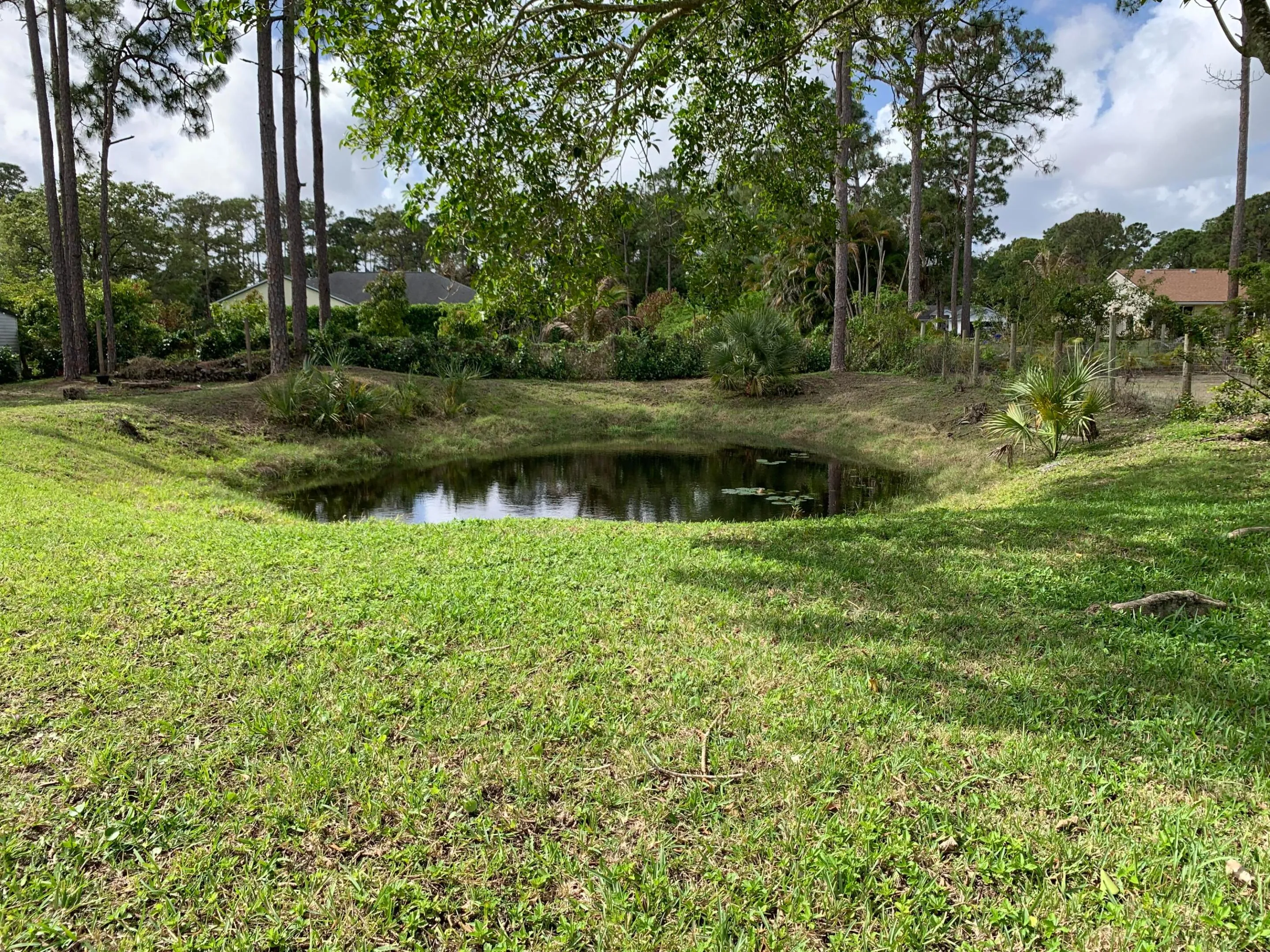 pond