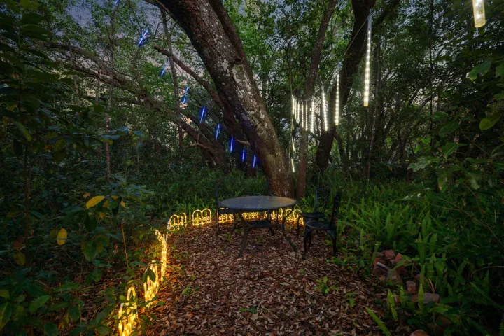 Evening Lighting