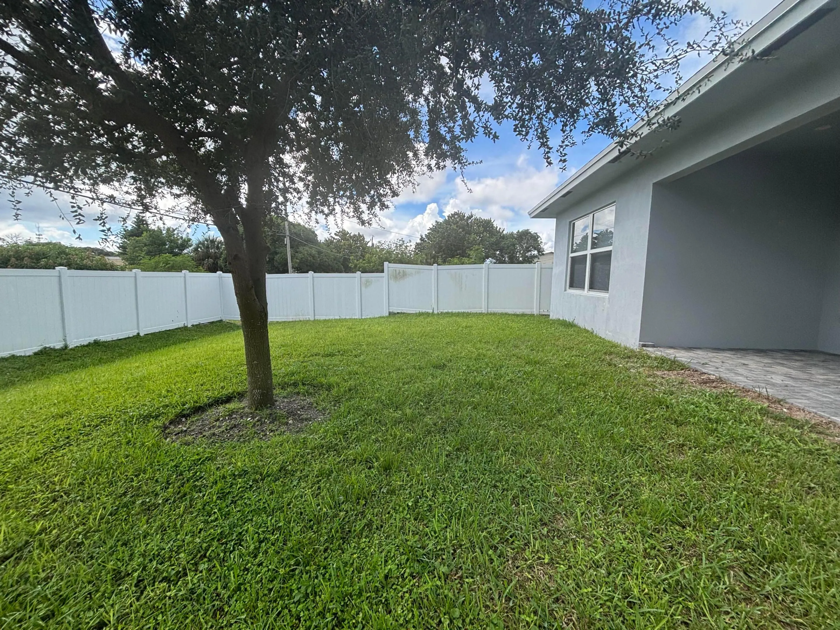 Backyard
