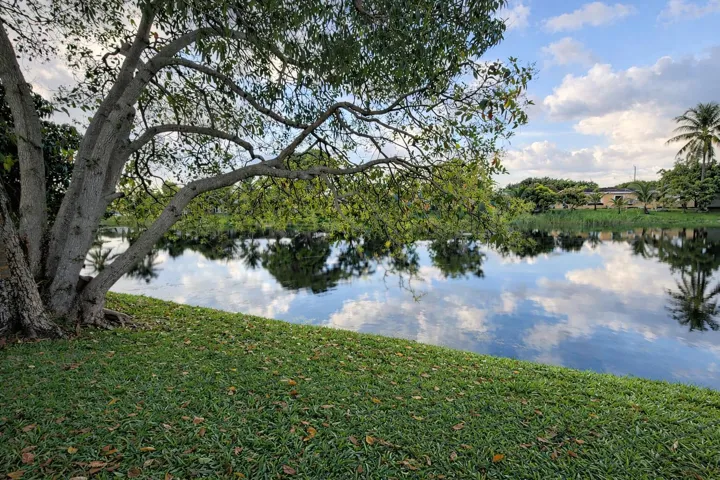 Waterfront view in backyard