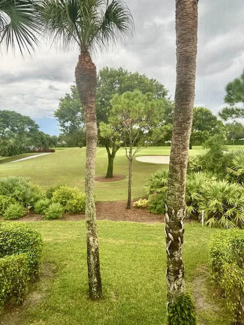 View from Balcony